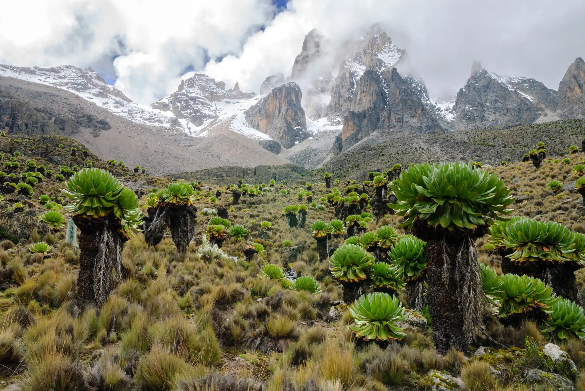 Mount Kenya Hiking Trails in Nanyuki