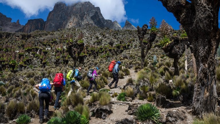 Nanyuki Mount Kenya Climbing and Trekking Experience